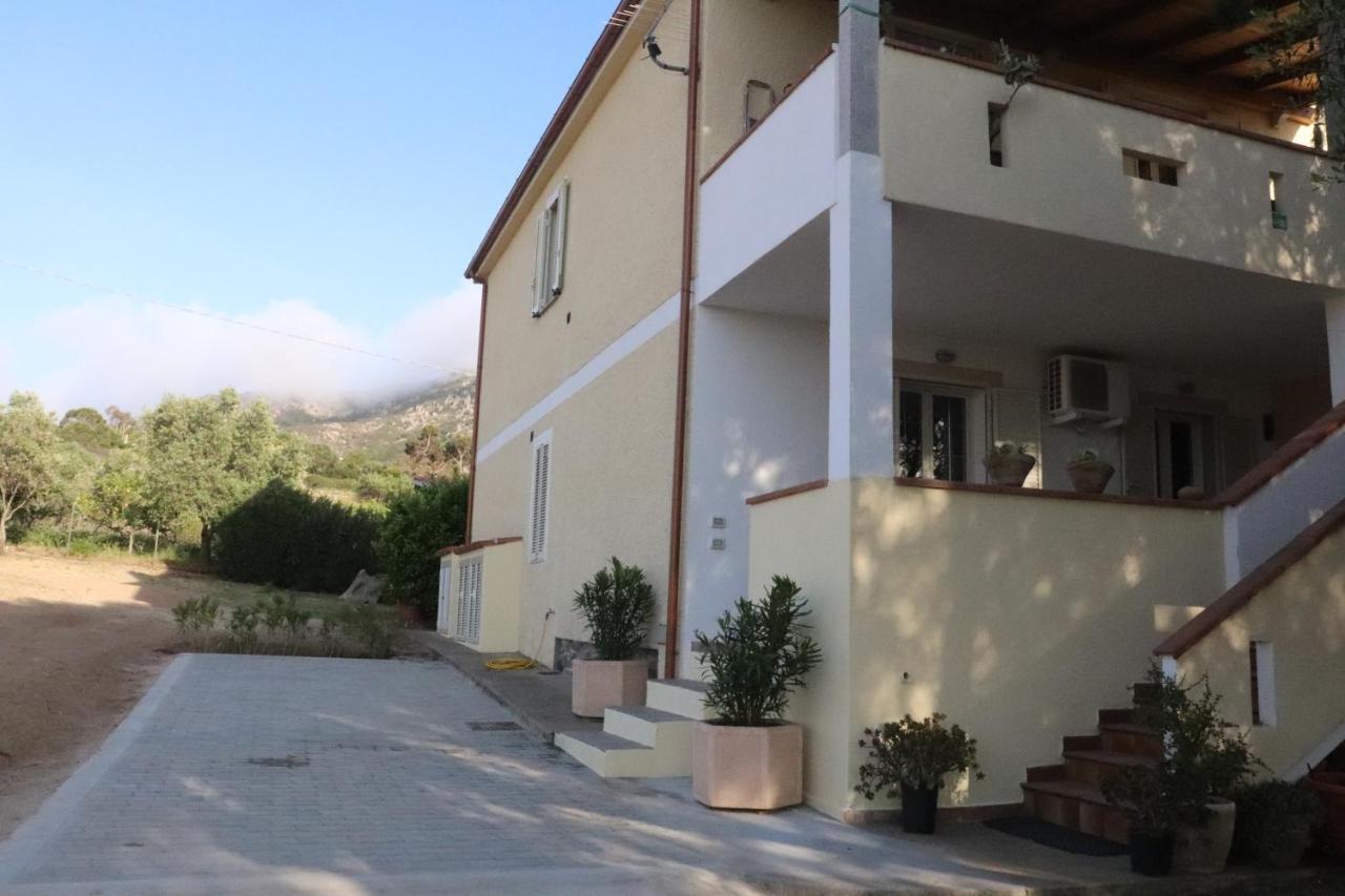 Villa Casa Oleandri Golfo Aranci Exterior foto